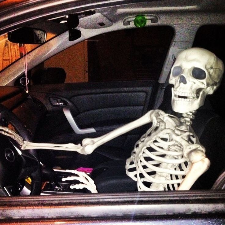 KaT~ 💀 tweet media