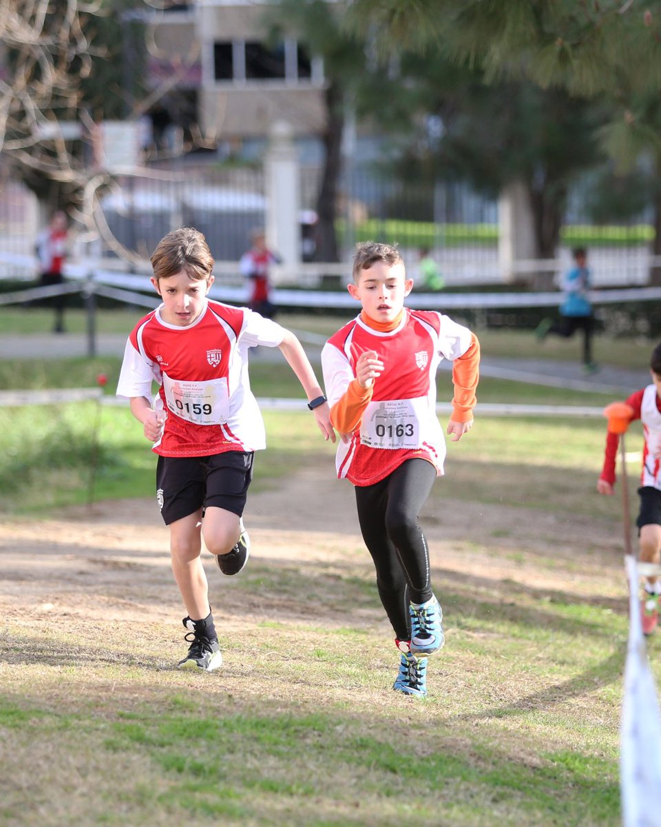 DOP Peras de Rincón tweet media