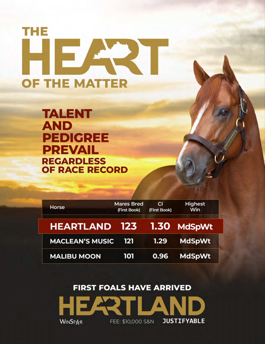 theTDN's tweet photo. The Heart of the Matter ❤️ 

HEARTLAND: First foals have arrived 👀 

📍 @WinStarFarm https://t.co/NcZGoI0sgy