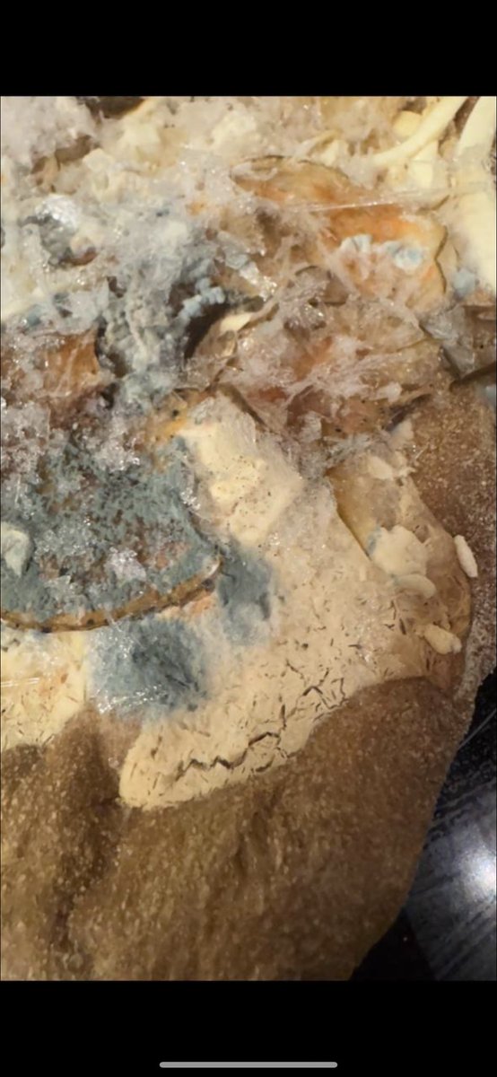 кёнинг tweet media