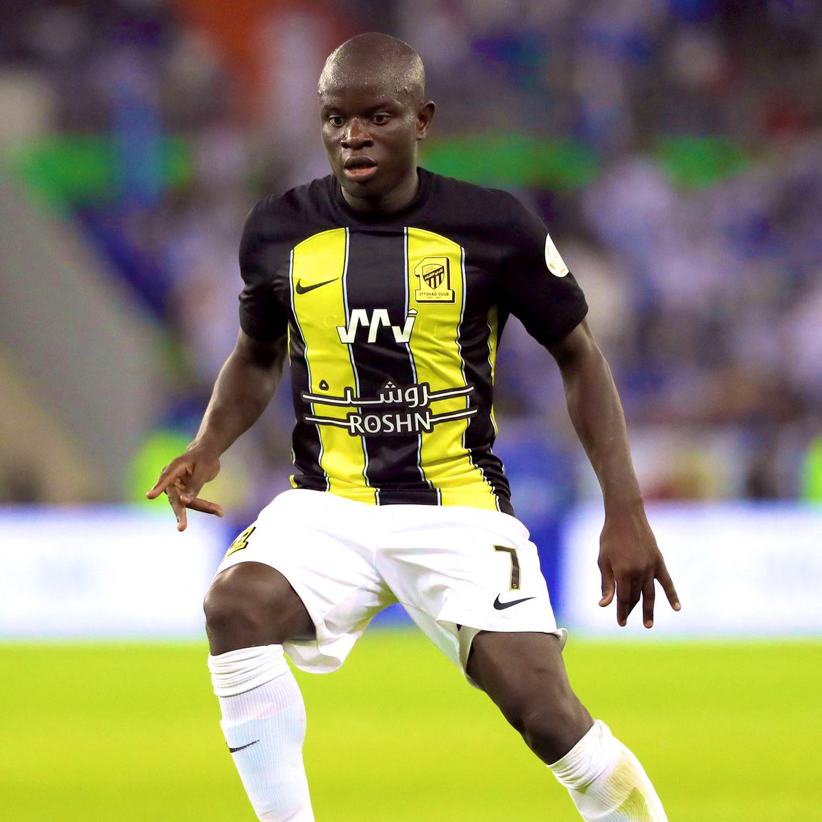 Pusholder tweet media