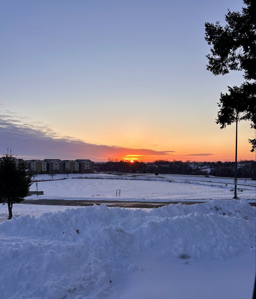 The parking lot across from Spratt Hall looks over the pond in front of Vartabedian dorms. It is a great place to catch the sunrise and observe our campus geese. #jou432 #hon395 #scavengerhunt #mowest #gogriffs