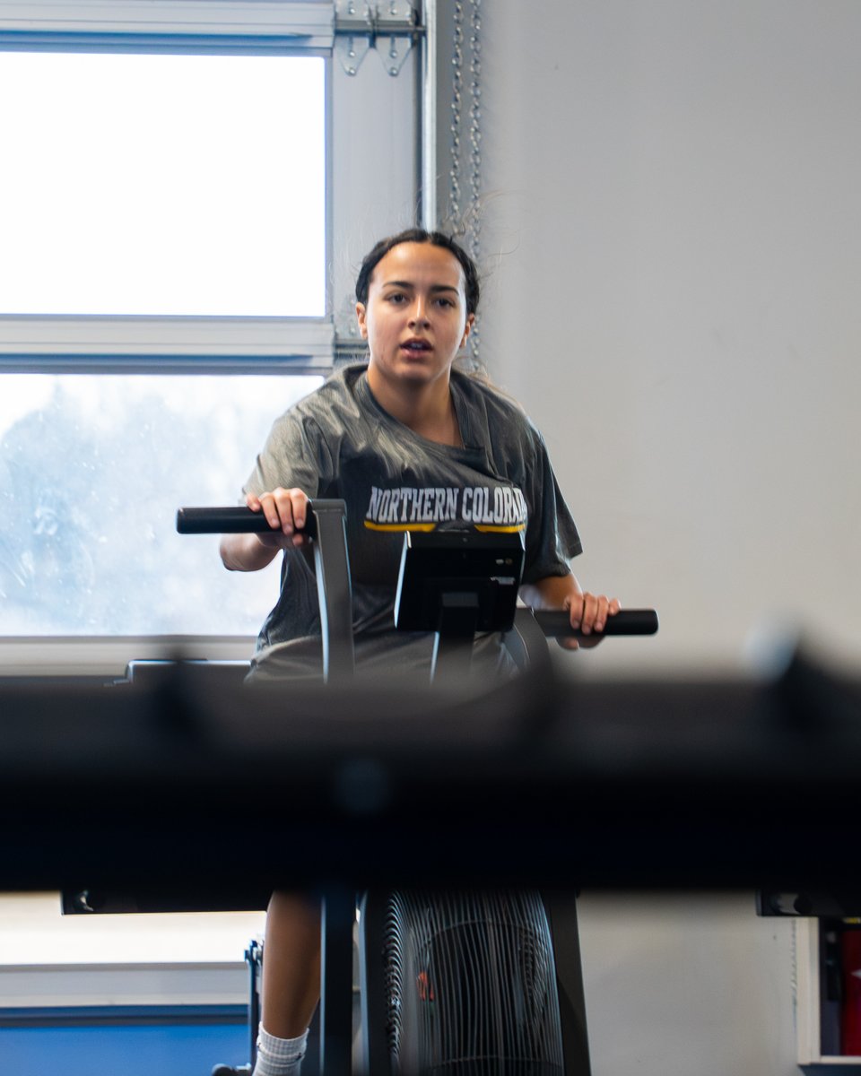 UNC Bears Volleyball tweet media