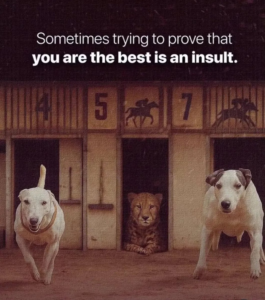 Supreme Football Performance tweet media