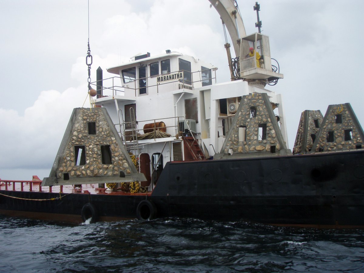 U. Michigan español tweet media