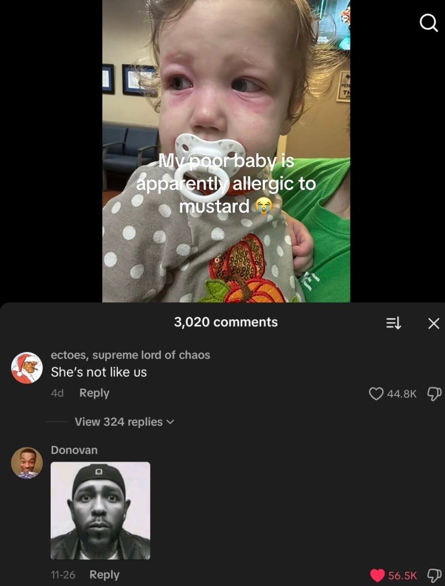 no context memes (@weirddalle) on Twitter photo 