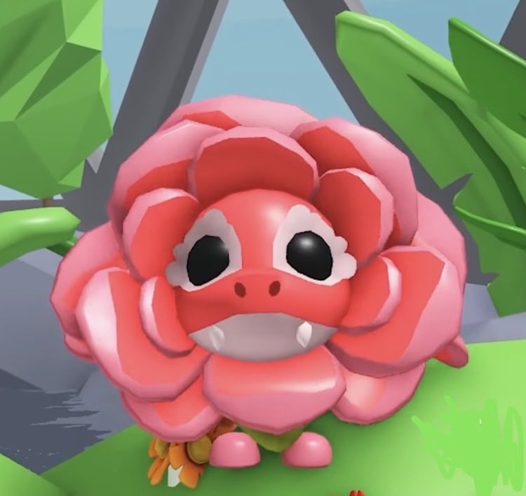 Burt News tweet media