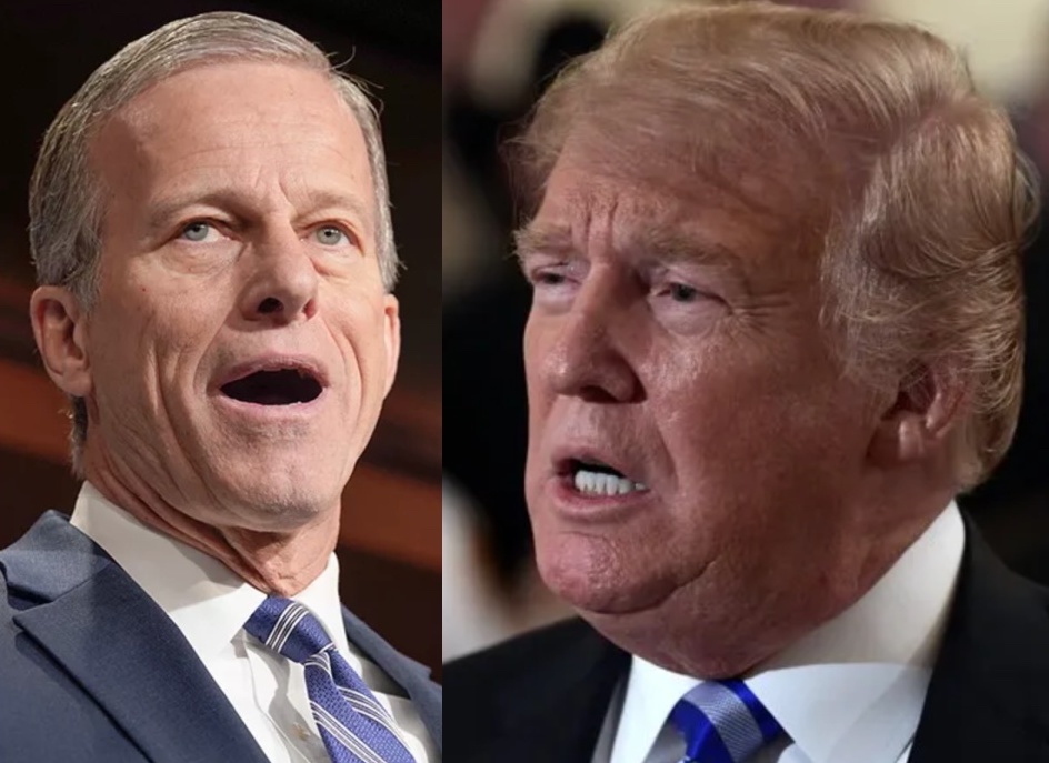 Occupy Democrats tweet media