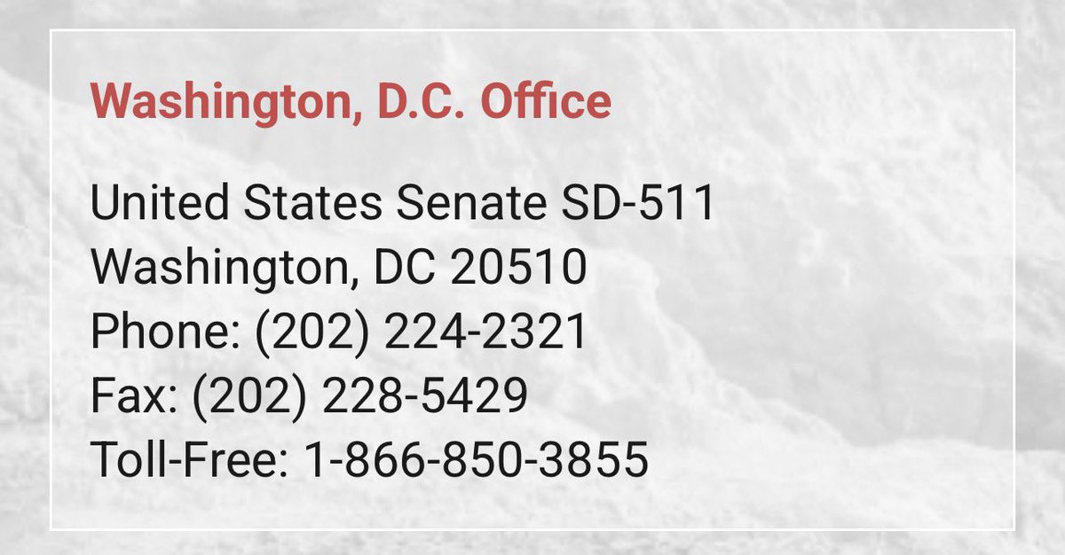 unwoketradwife's tweet image. Time to get on the phone America