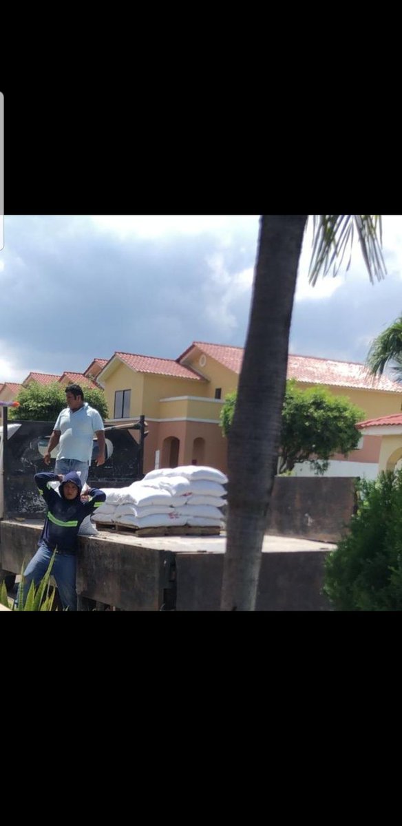 José Coello Rodríguez tweet media