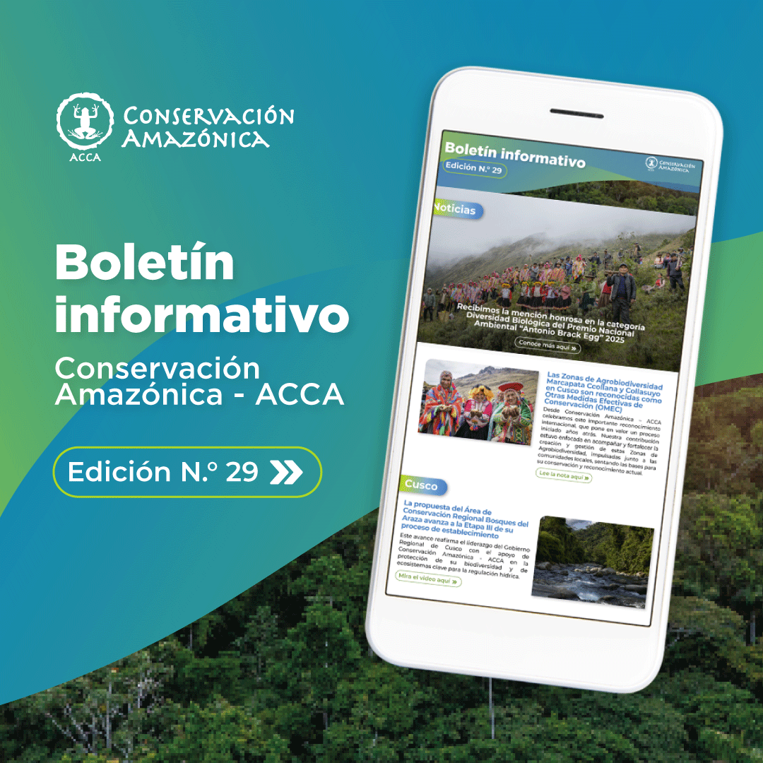 Conservación Amazónica - ACCA tweet media