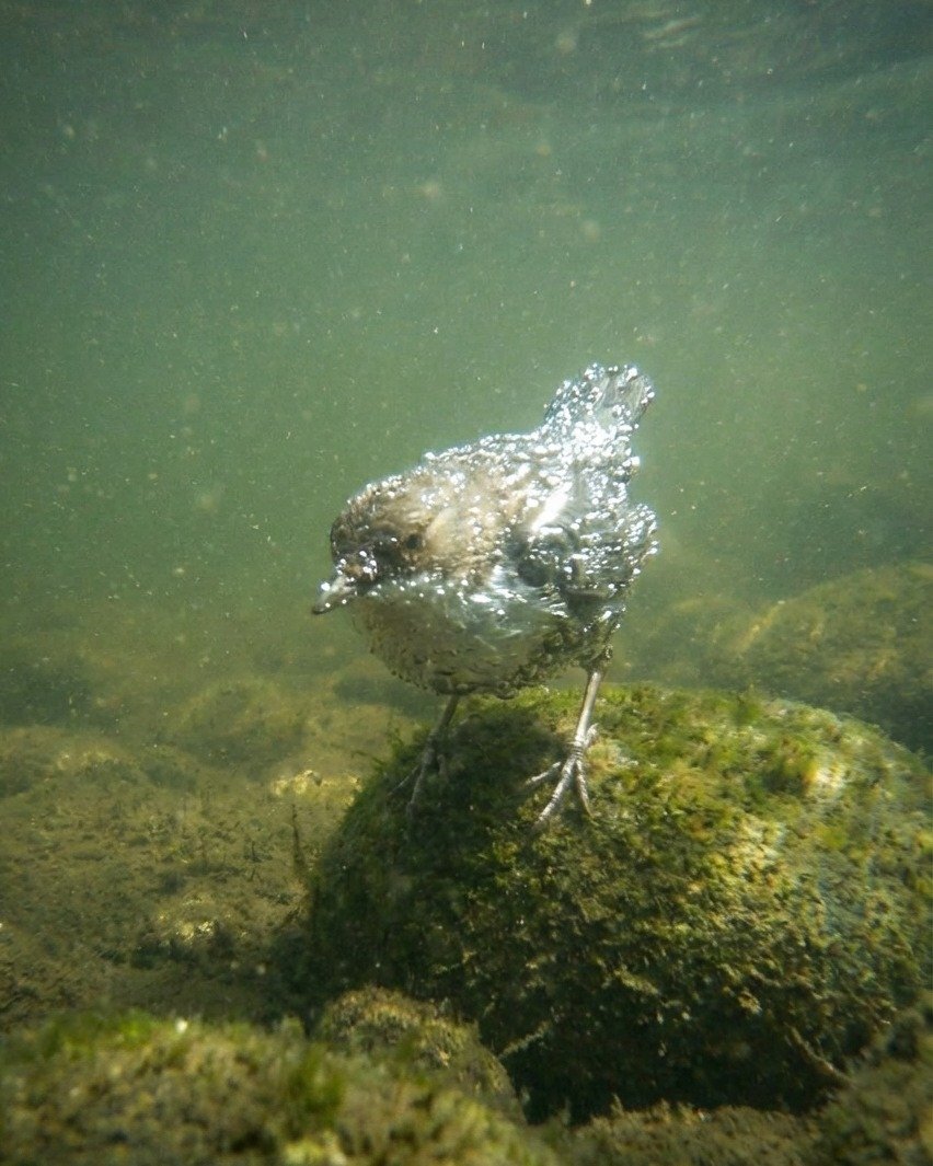 sorrrowfull's tweet image. 