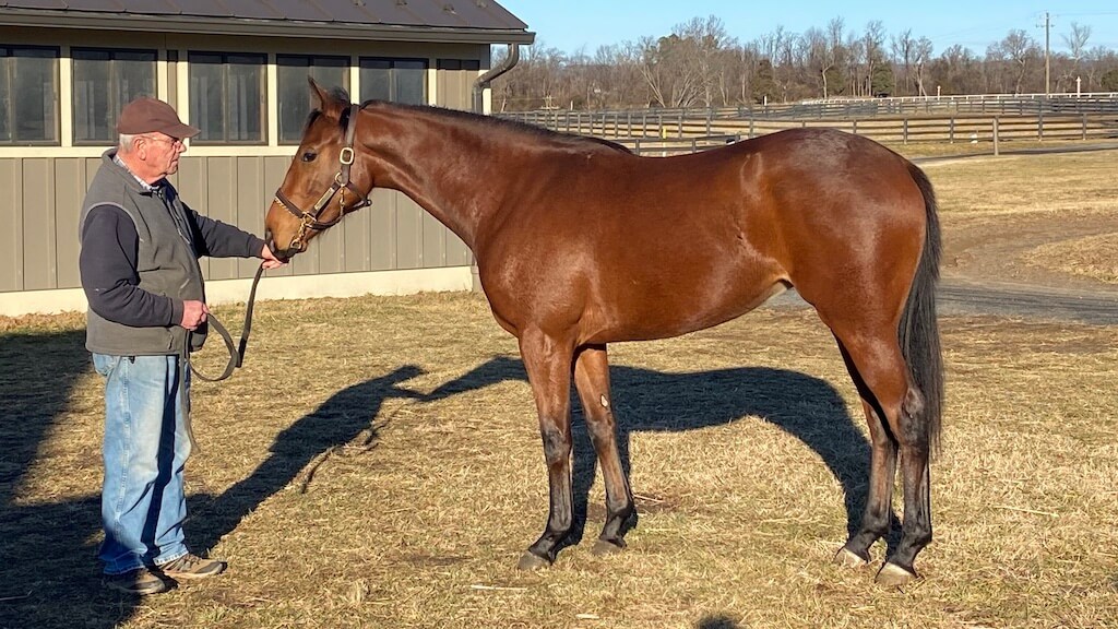 Riverdee Stable/Clancy Bloodstock tweet media