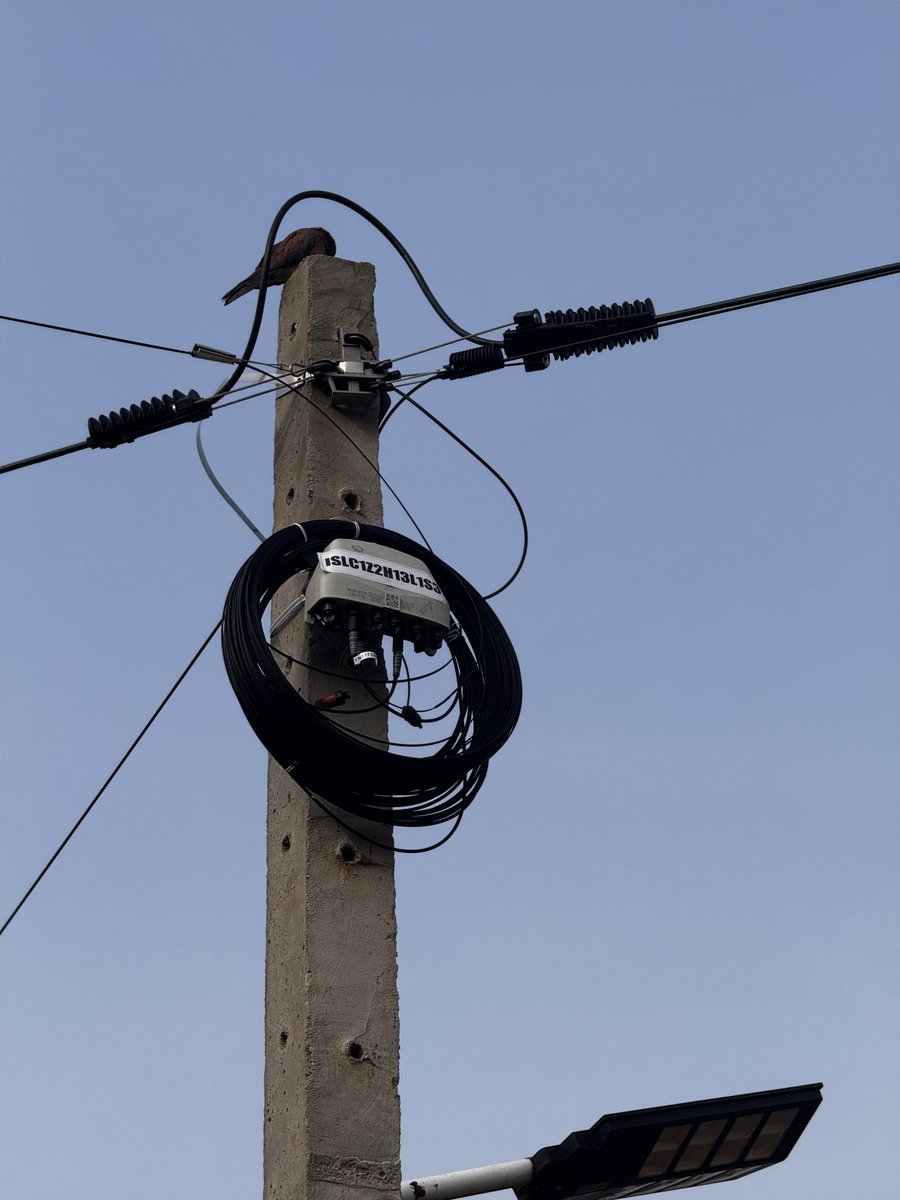 Adex smith tweet media