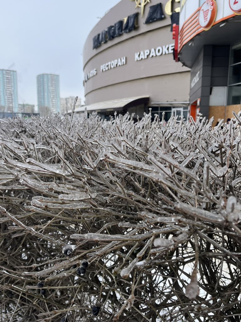 土子文則@ウクライナ🇺🇦滞在中 tweet media