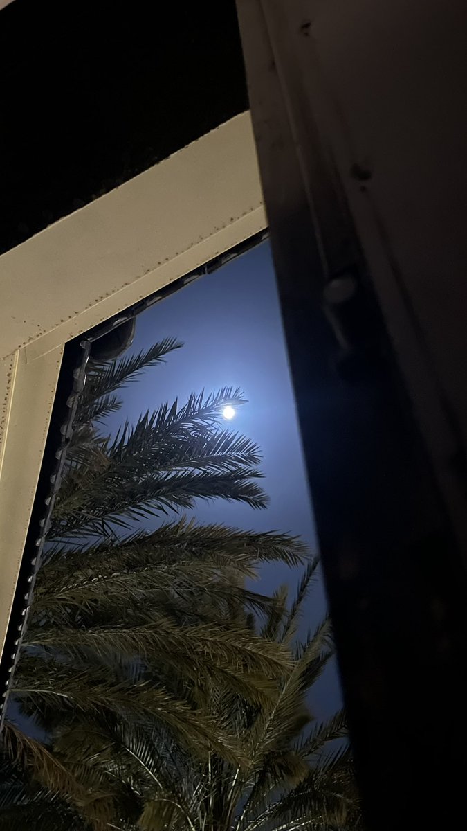 عبدالله الـعديلي tweet media