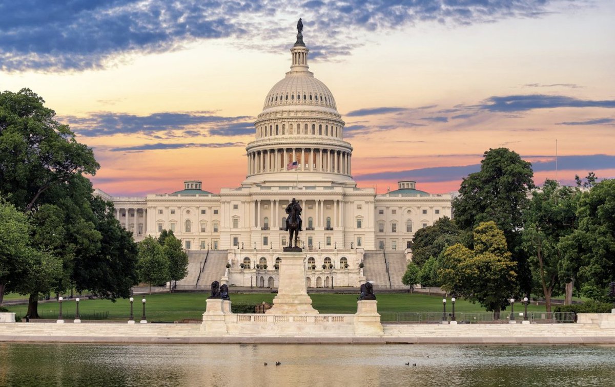 Denis Wirtz tweet media