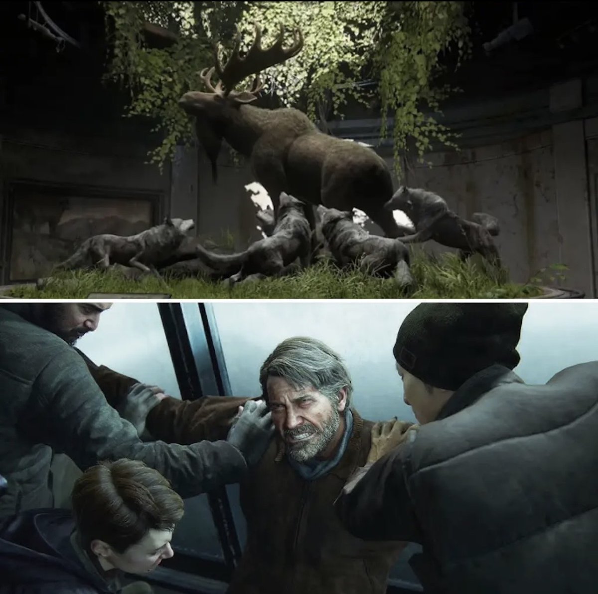 The connections 🦌🐺

#TheLastofUs