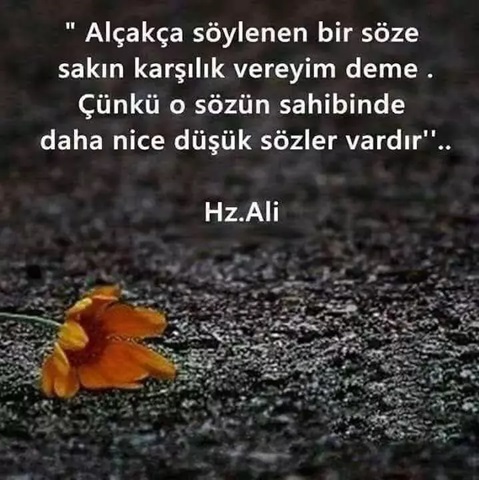 Sezai Şen tweet media