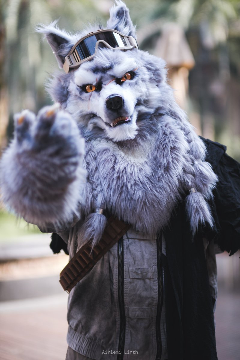 CardWolf tweet media