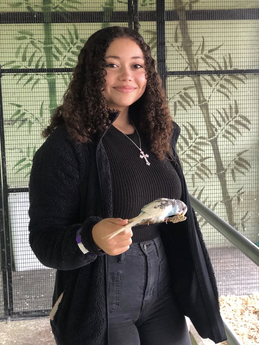 Jade Jackson, MBA Candidate tweet media