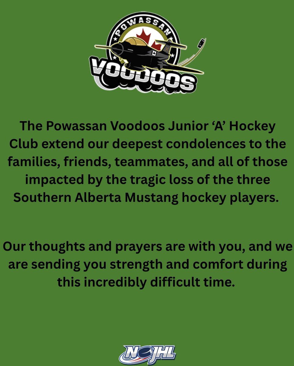 Powassan Voodoos (@voodoosnojhl) on Twitter photo 