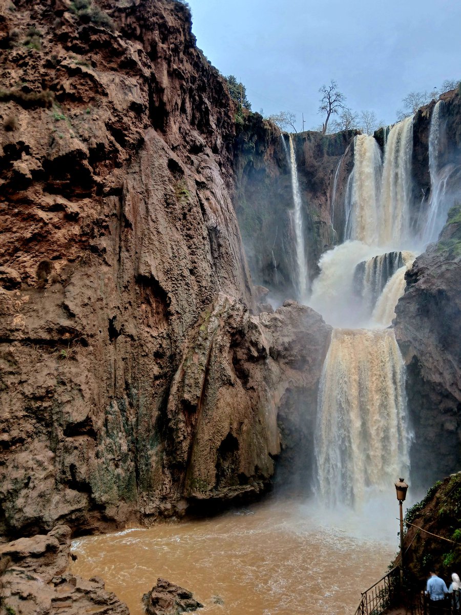 V(B)iajero Insatisfecho tweet media