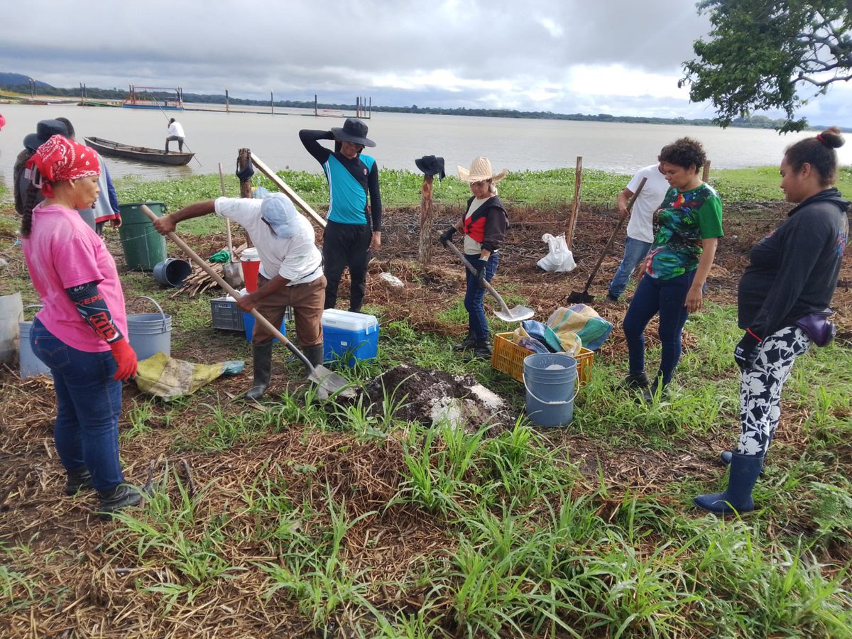En el Día Mundial de los Humedales, Corpocesar–Seccional Chimichagua, junto a Funeco Sostenible y la Policía, realizó la siembra de 200 árboles ribereños en la Isla Las Manillas para fortalecer la protección y restauración de estos ecosistemas. #Corpocesar🌱🍃