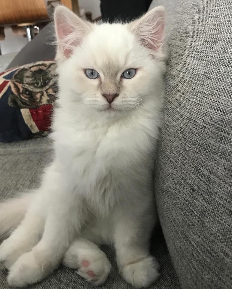 Kristina tweet media