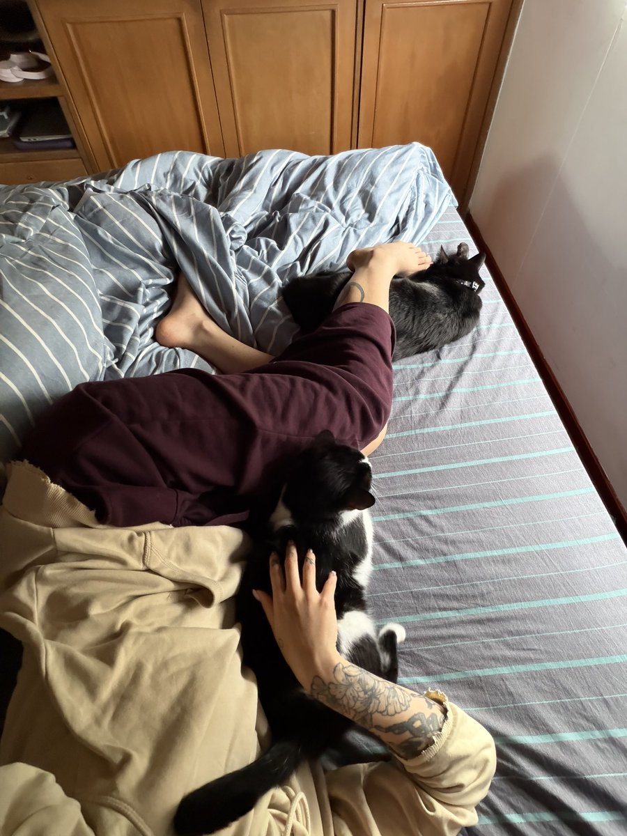 pixiepeluche's tweet image. 🥺❤️‍🩹