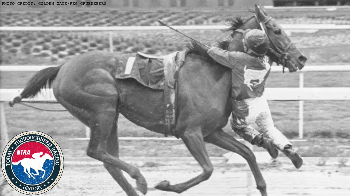 Post by YあおねぎY on X: ド根性すぎる…