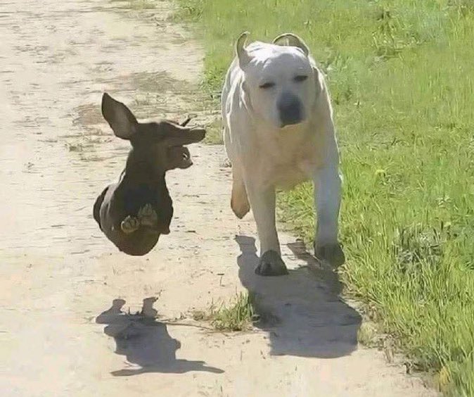 yo contándole todo lo que me pasa a la única persona que me soporta