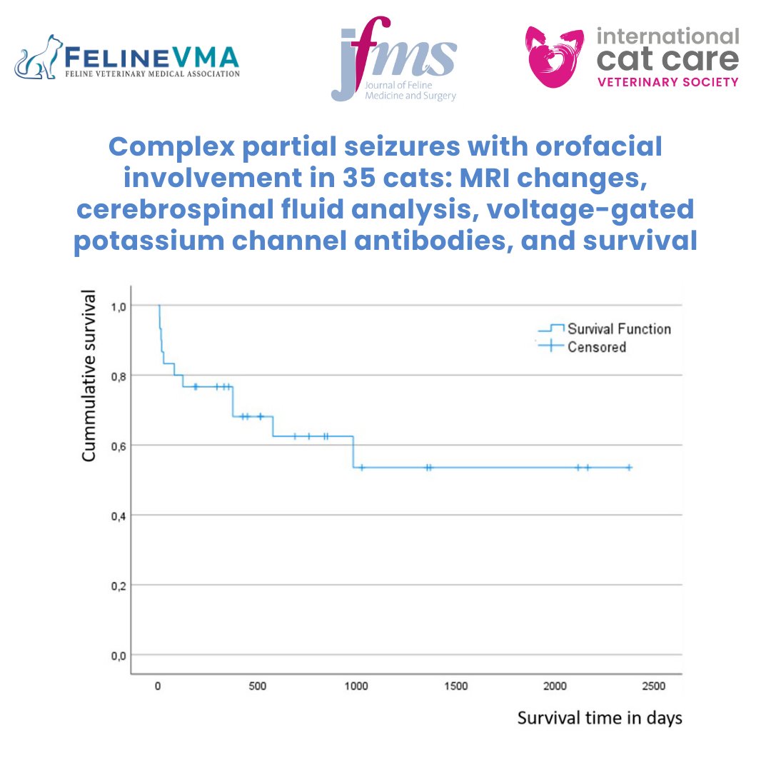 Feline Veterinary Medical Association tweet media