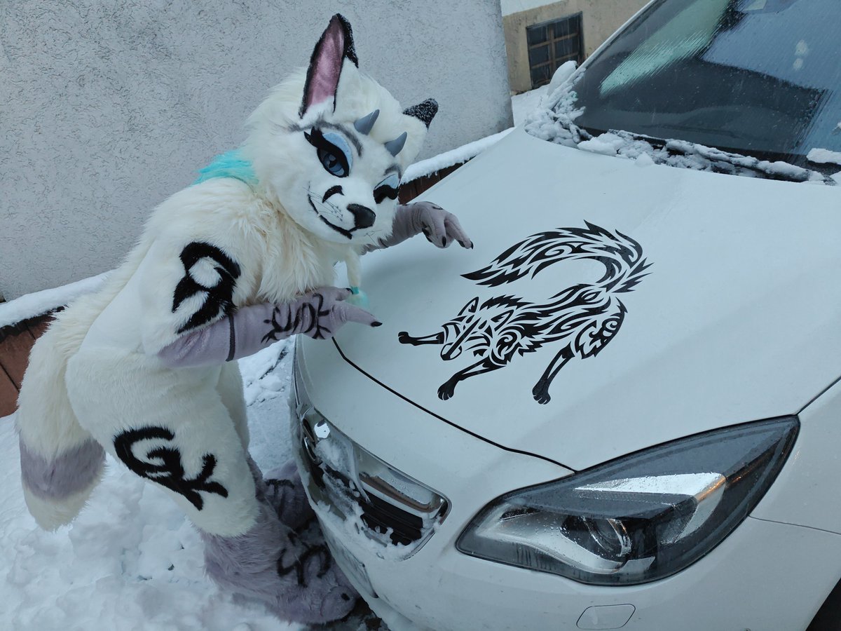 Venâtura tweet media