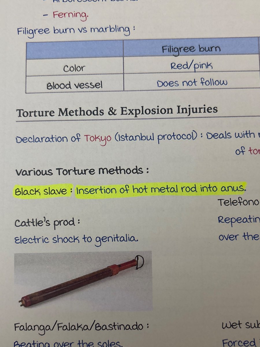 reveredreader2's tweet image. Sure ig