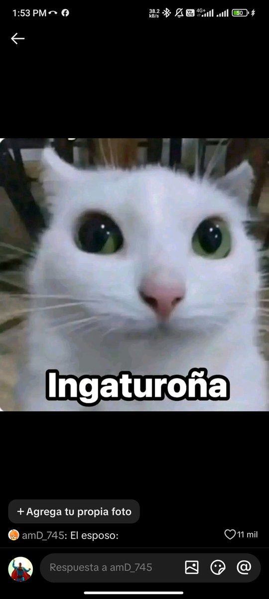 juan Camilo tweet media