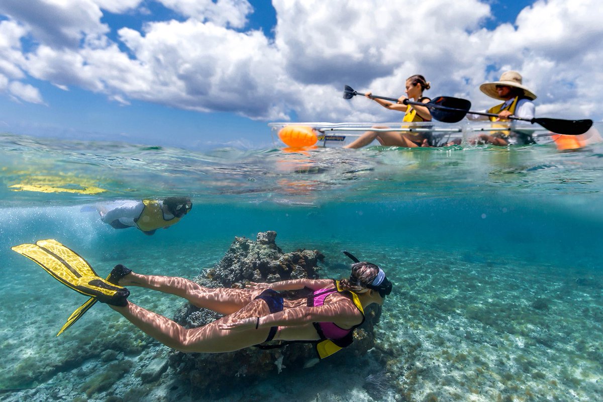 Cada aventura trae una sorpresa nueva: mucha vida y color bajo el agua 🐟

#ExploraTours #GoExplora #Cozumel