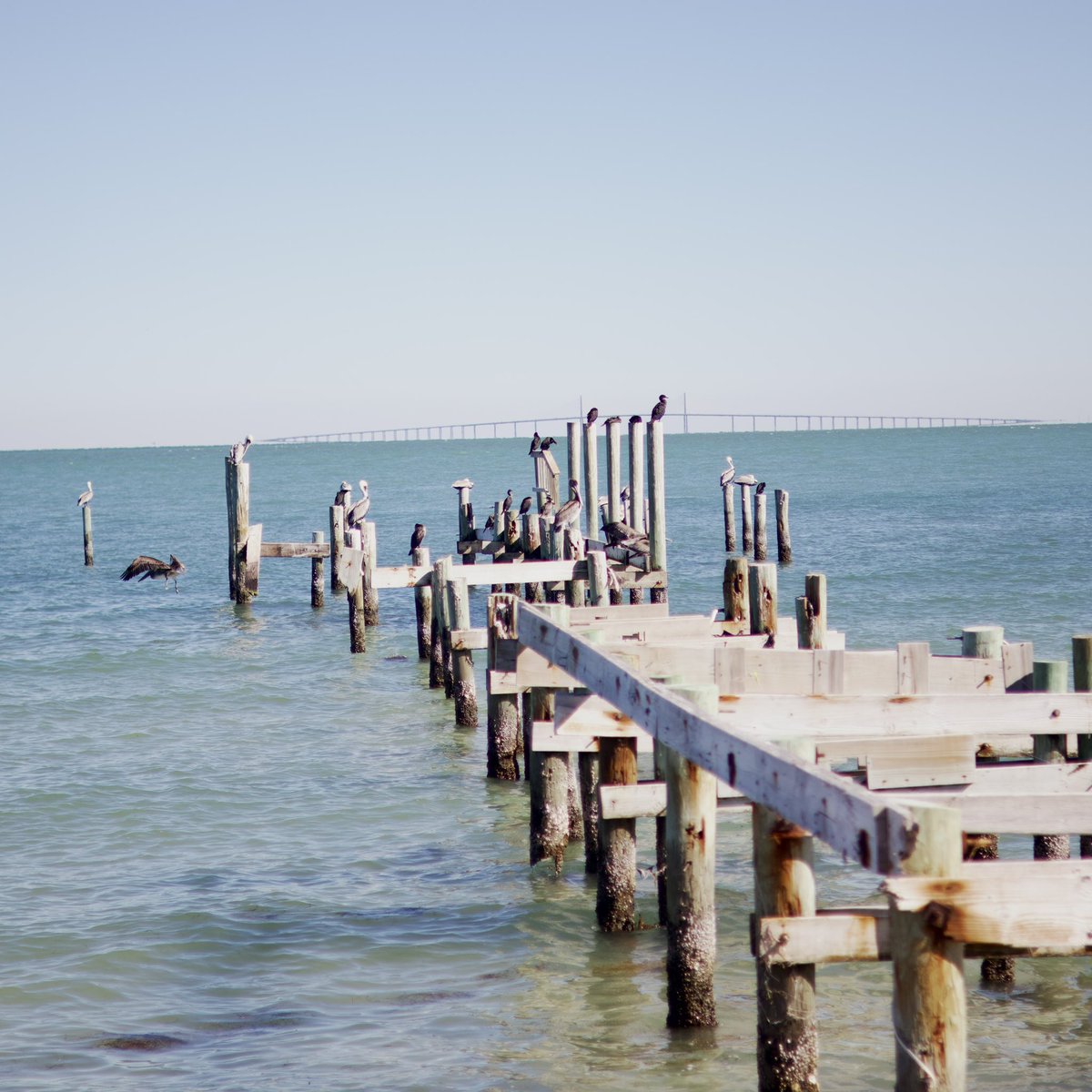 BLAHTIAN's tweet image. I am the water. Me and the water are one. Calm in motion, always zenful when I’m near the flow.

#WaterEnergy #ZenVibes #OneWithNature #FlowState #peaceinmotion