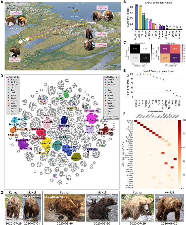 Mackenzie Weygandt Mathis, PhD tweet media