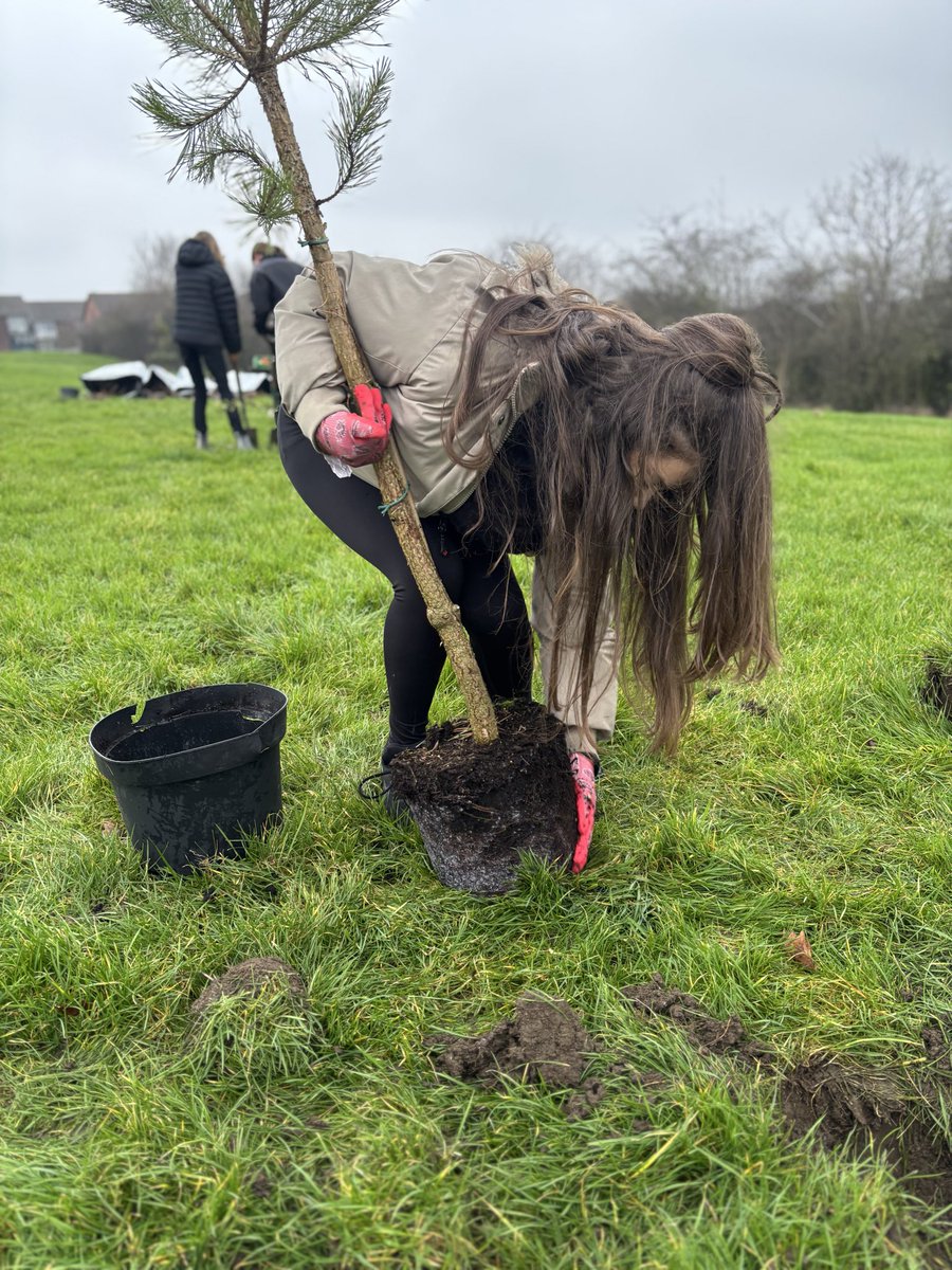 Wingfield Geography tweet media