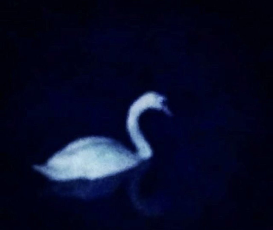 ََ (@invertedly) on Twitter photo 