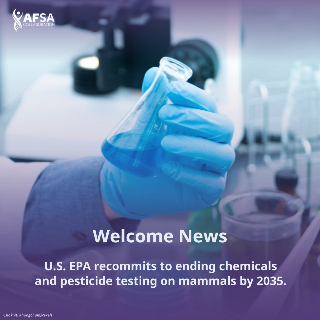 Animal-Free Safety Assessment (AFSA) Collaboration tweet media