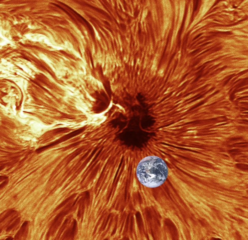 Andrew McCarthy tweet media