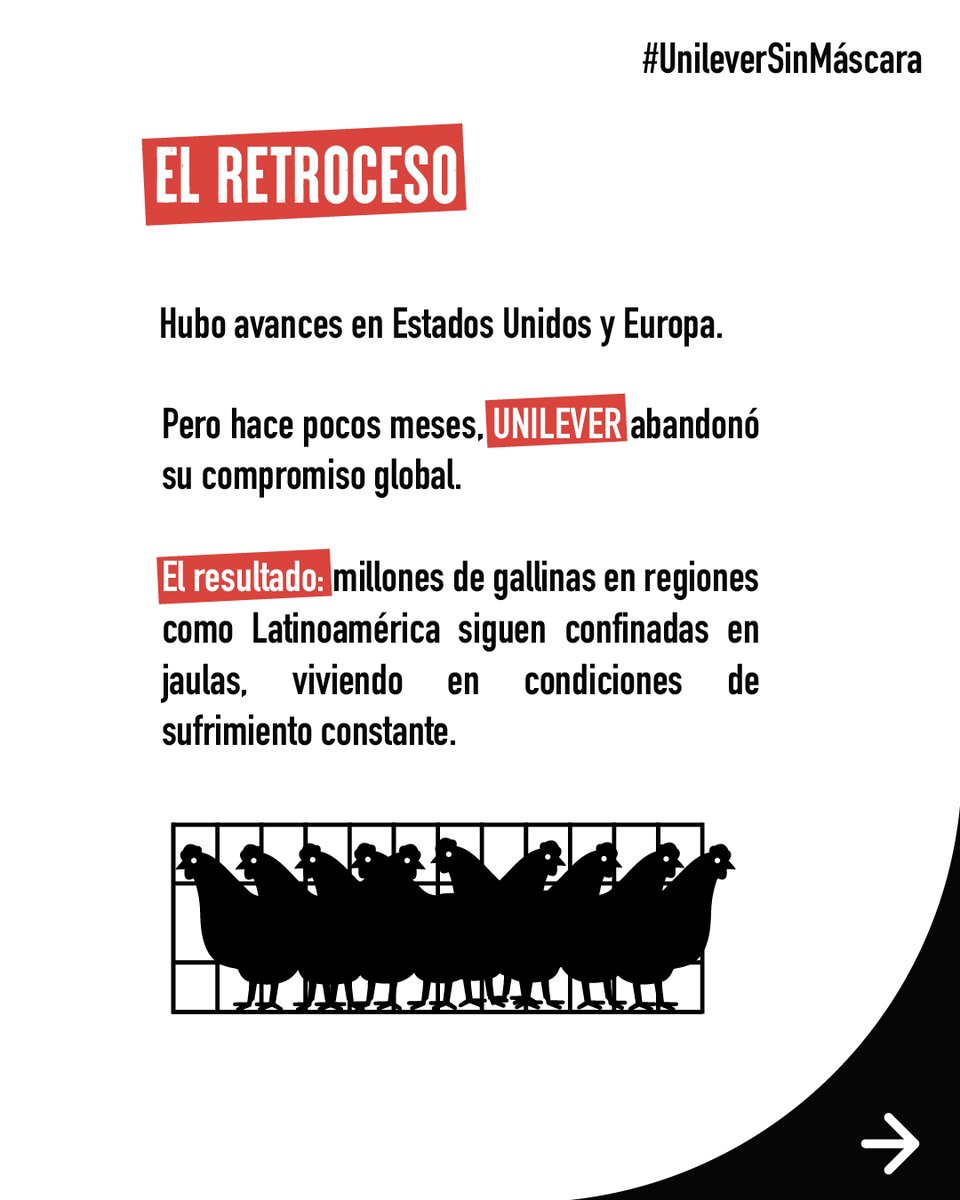 AnimaNaturalisCol tweet media