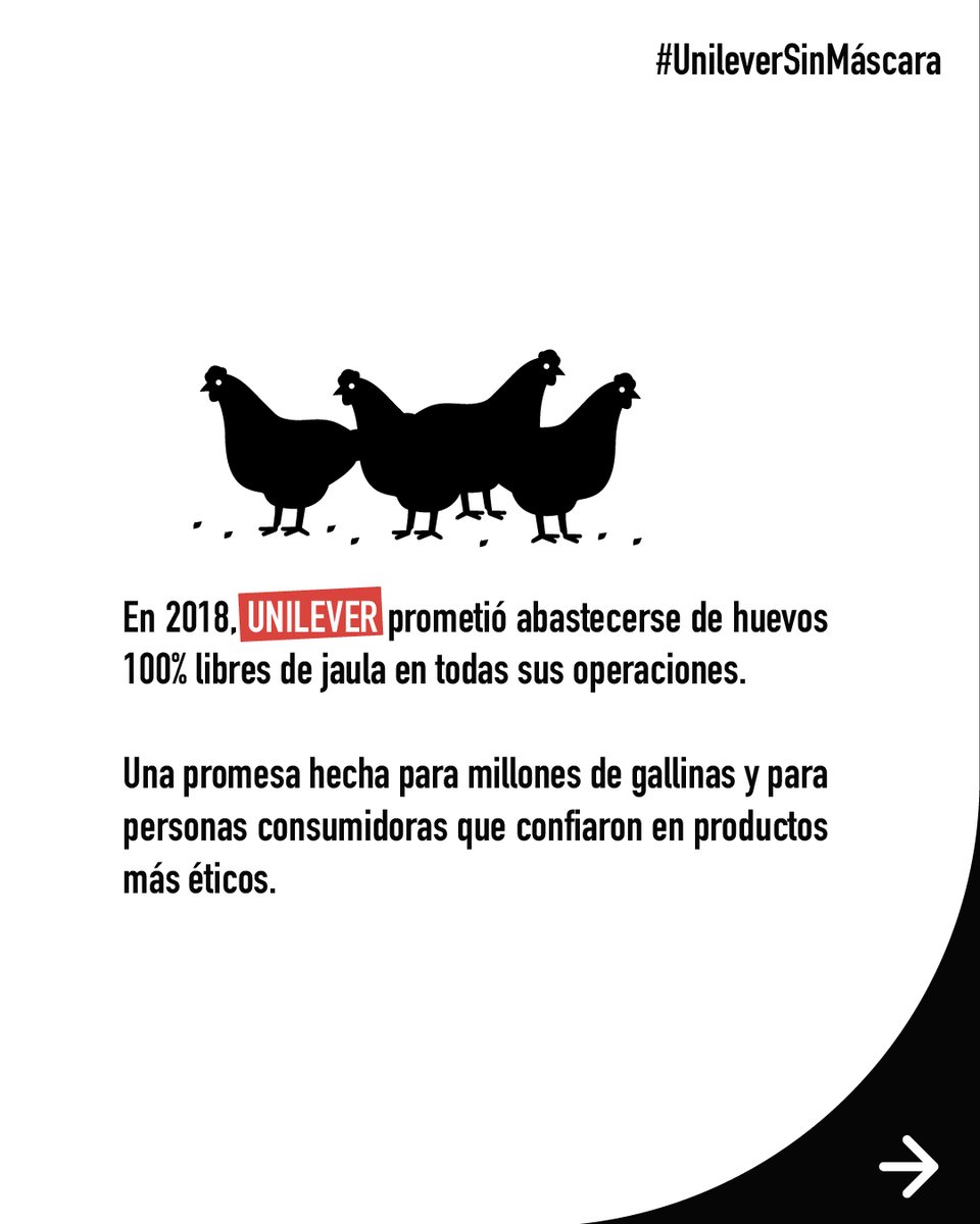 AnimaNaturalisCol tweet media