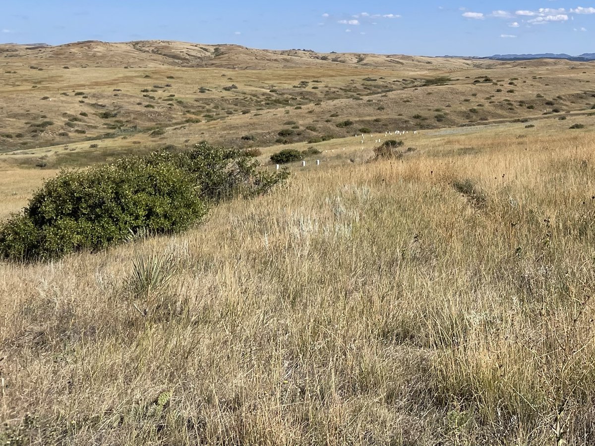 Pyth_of_Samos's tweet image. History should not be erased. The Battle of Little Bighorn, aka Battle of Greasy Grass, began with Major Reno's second detachment (Companies A, G, and M) of the US 7th Cavalry committing war crimes by killing women and children at the rear of the encampment.
