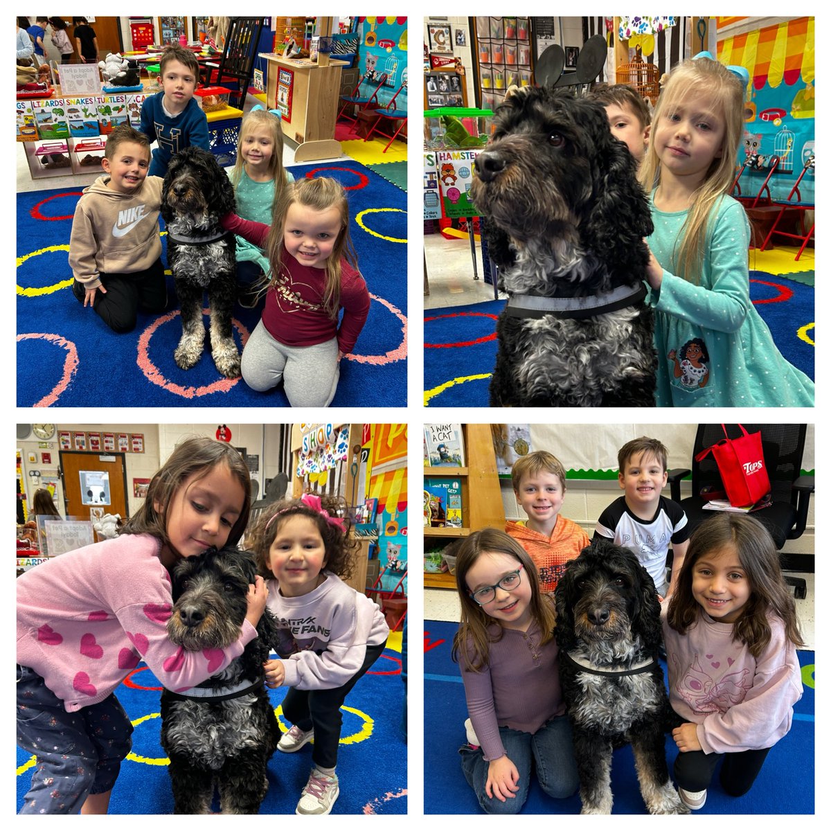 Ledgeview Elementary tweet media