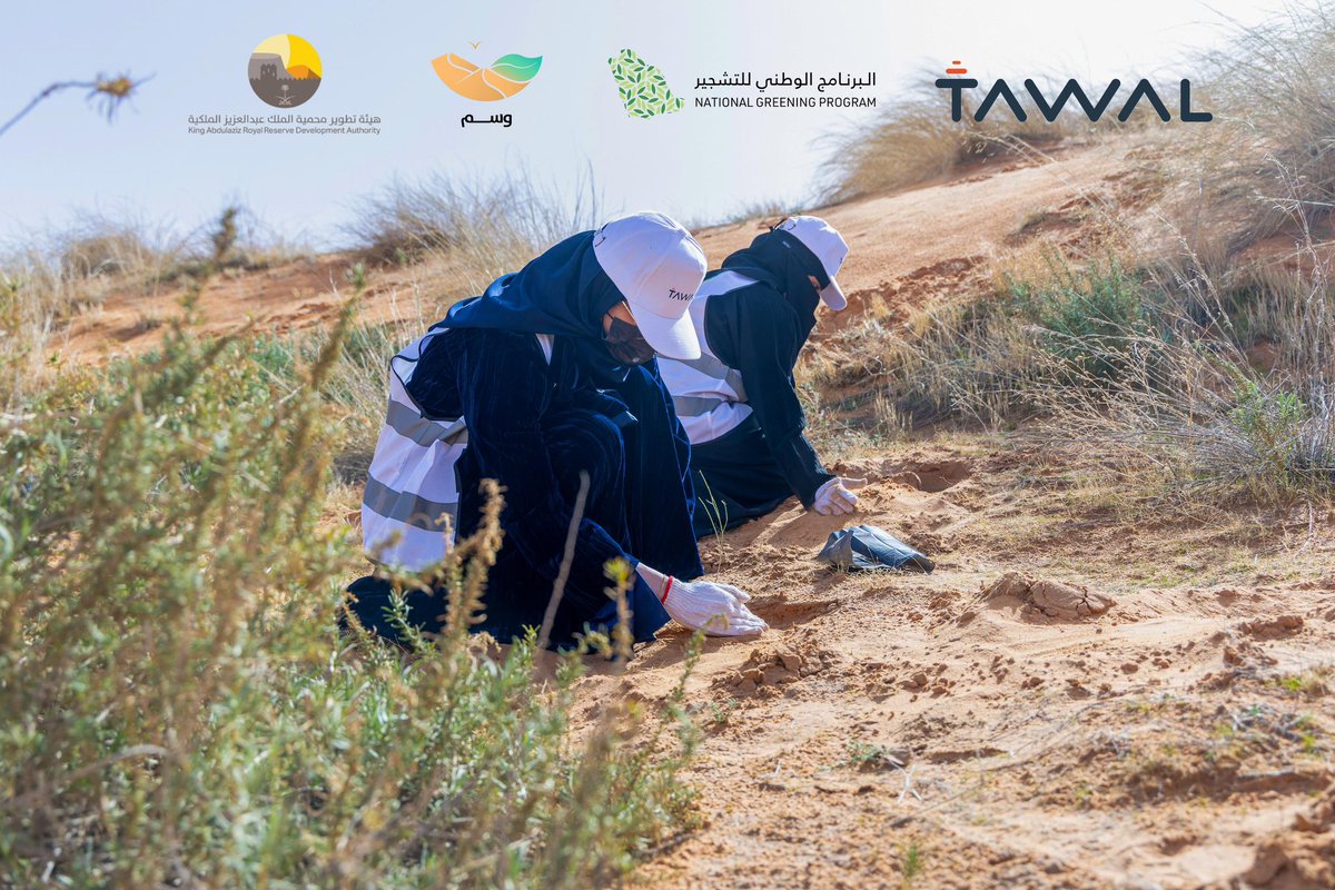 wasm_env's tweet photo. مستمرون بدعم @Tawal_KSA لزراعة 5,000 شجرة أرطى في مبادرة تشجير الدهناء؛ تأكيدًا على دور الشراكات الوطنية في دعم المبادرات البيئية وتعزيز استدامة مواردنا الطبيعية 💚

#محمية_الملك_عبدالعزيز_الملكية https://t.co/PUm0Ri2nn7