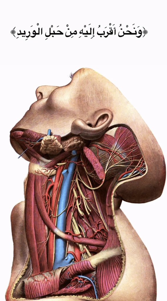 wenn2023's tweet image. "وَنحْنُ أَقْرَبُ إِلَيْهِ مِنْ حَبْلِ اَلْوَريدِ "