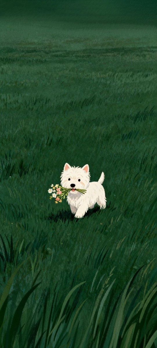 Puppies 🐶 (@puppiesiover) on Twitter photo 